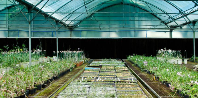 温室大棚种植管理的六大误区农业
