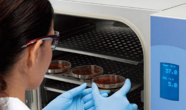 细胞培养箱微生物污染源分析及消毒灭菌控制方案